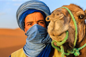 touareg desert chameau